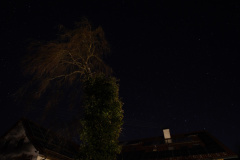DSC00006