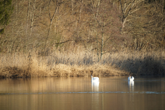 DSC00010